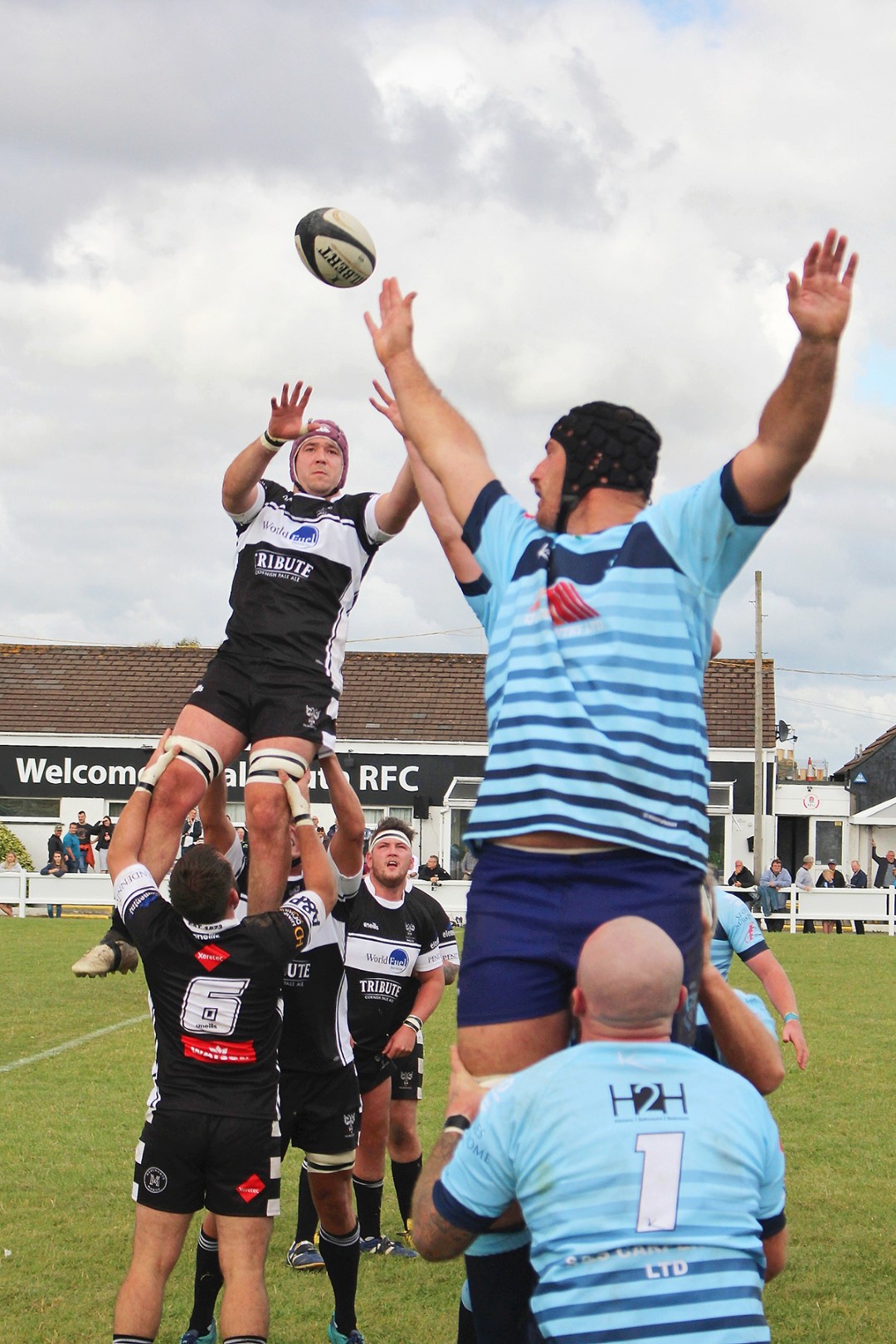 Falmouth Rfc Falmouth Rugby Club